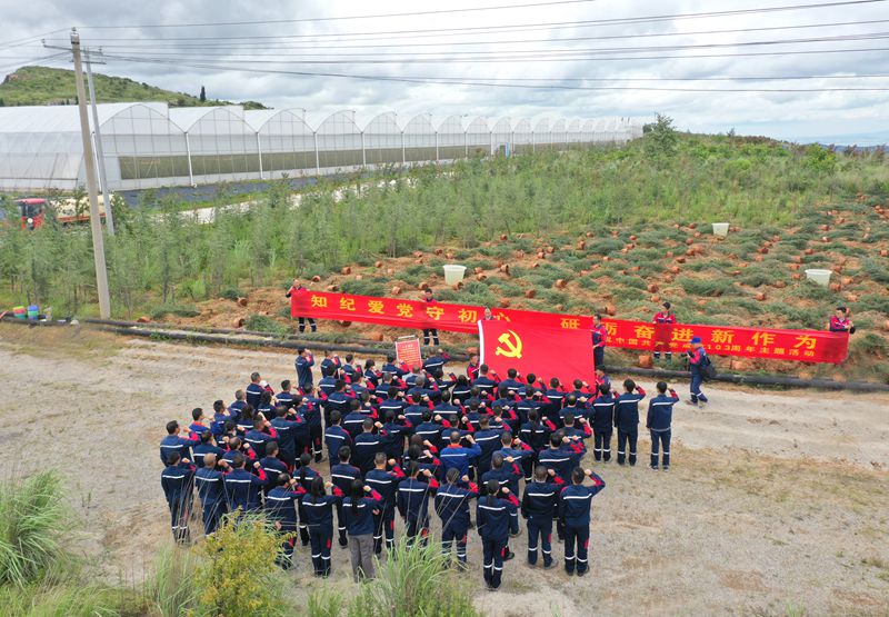 2024年澳门精准马会